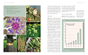7b. Design for Royal Botanical Gardens Edinburgh